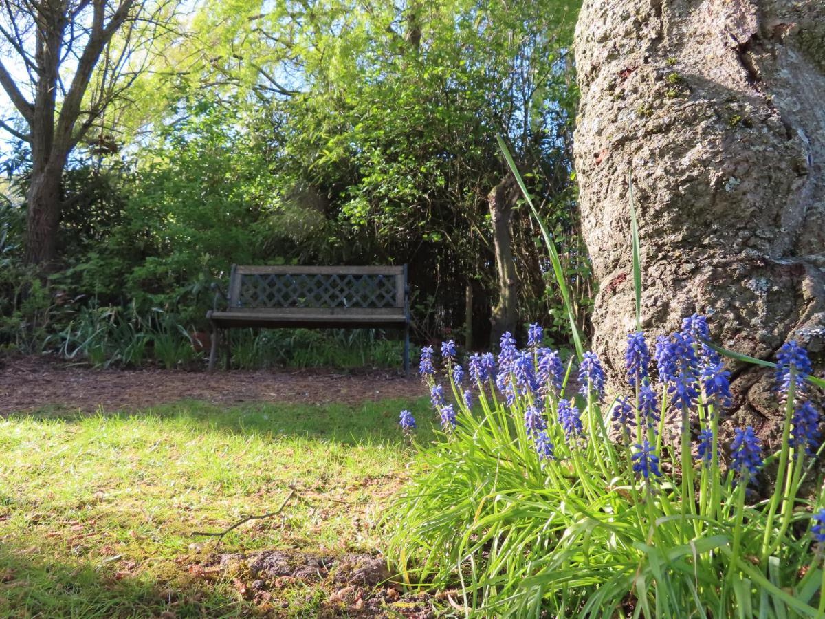 La Quitapenas Villa Ronse Dış mekan fotoğraf