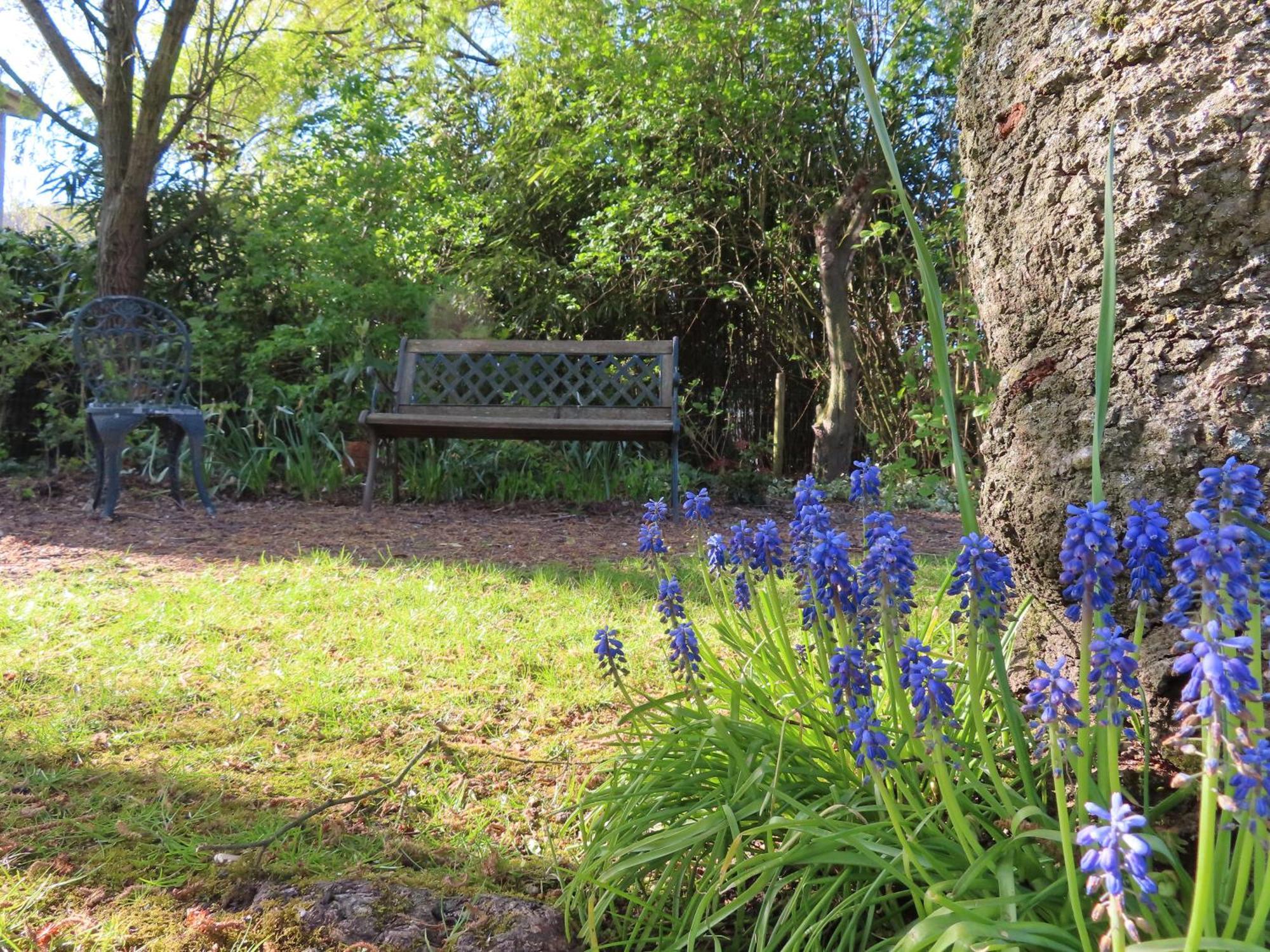 La Quitapenas Villa Ronse Dış mekan fotoğraf
