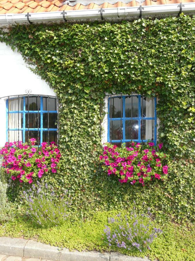 La Quitapenas Villa Ronse Dış mekan fotoğraf