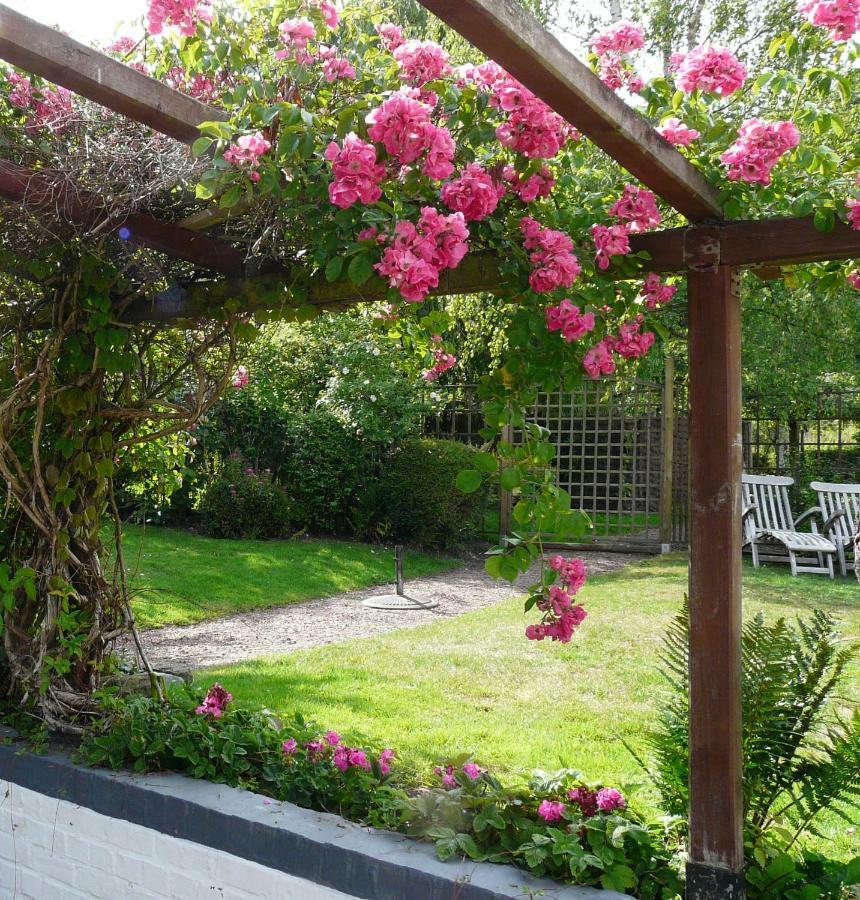La Quitapenas Villa Ronse Dış mekan fotoğraf