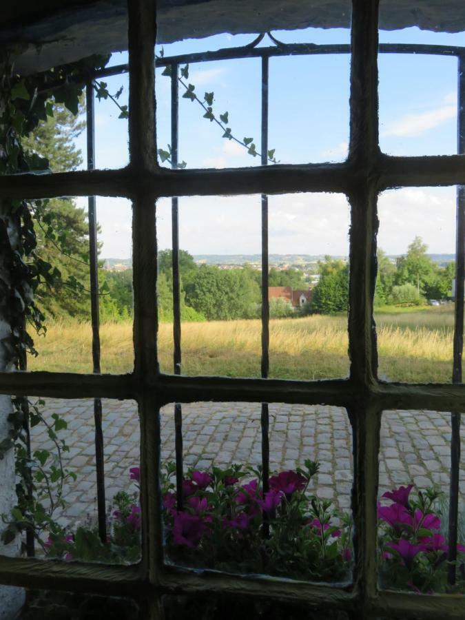 La Quitapenas Villa Ronse Dış mekan fotoğraf