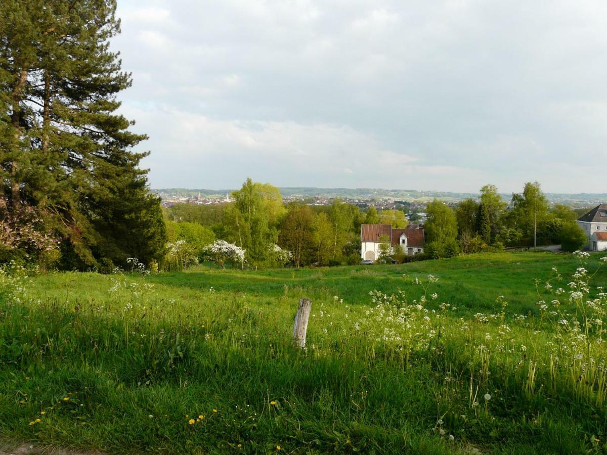 La Quitapenas Villa Ronse Dış mekan fotoğraf