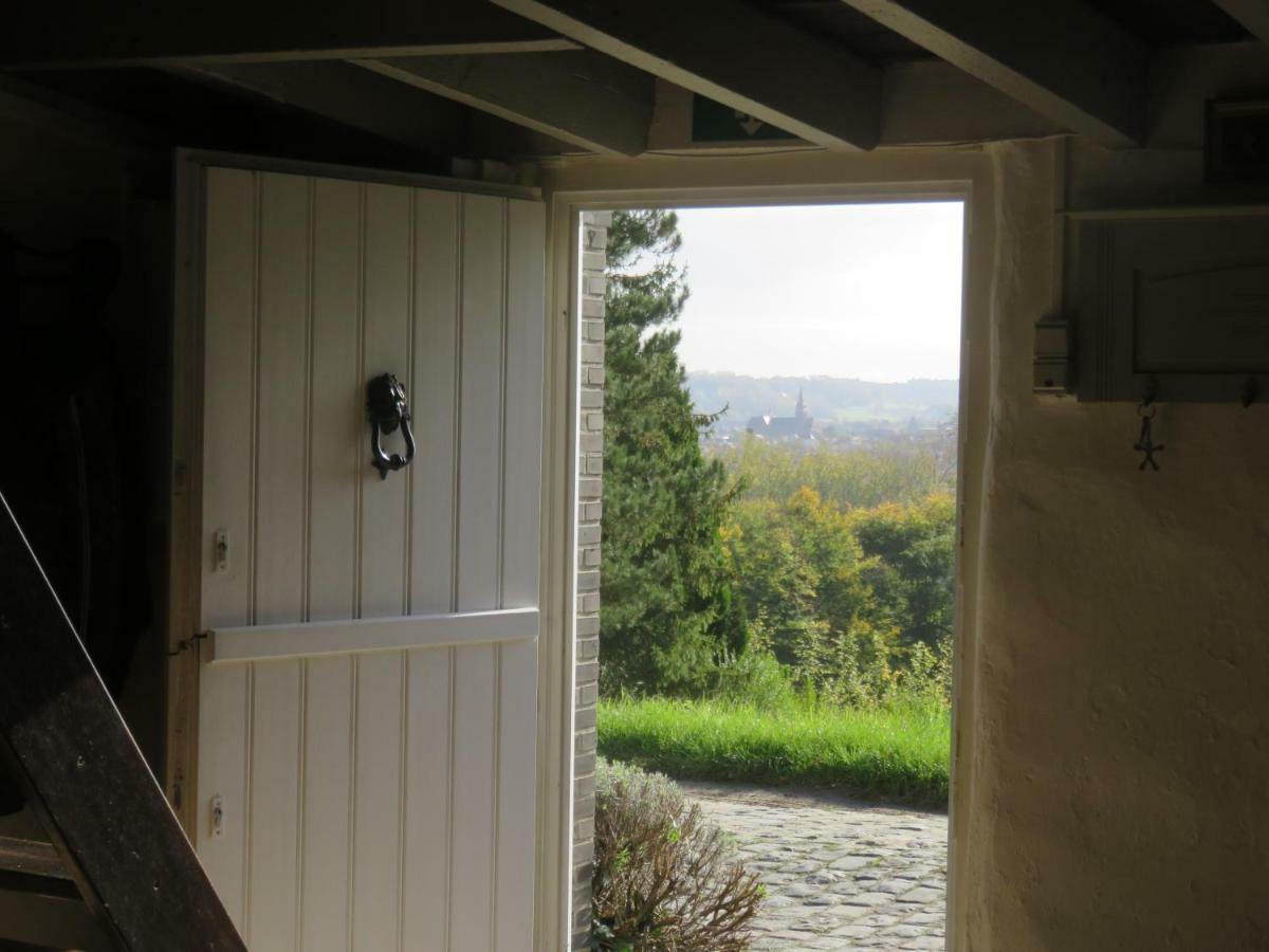 La Quitapenas Villa Ronse Dış mekan fotoğraf